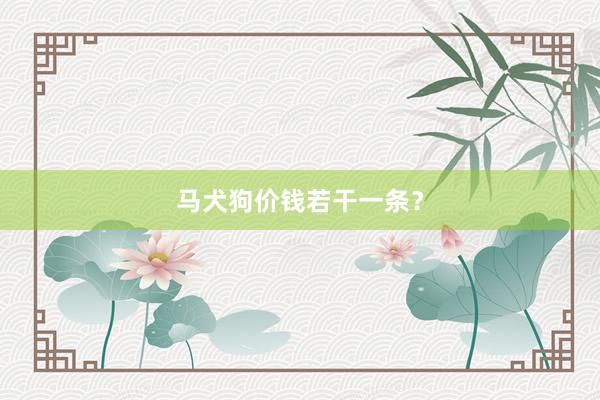 马犬狗价钱若干一条？