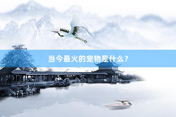 当今最火的宠物是什么？